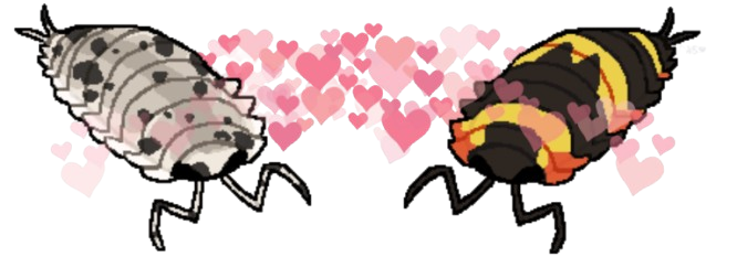 IsopodKisses