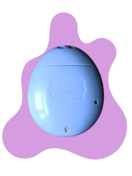 MeetsMagicBack